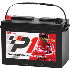 P1 Battery - Gold Series